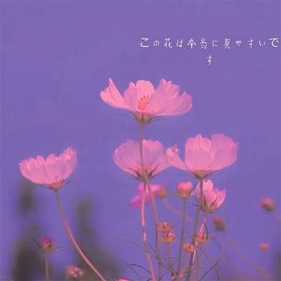 理性看待太空光伏热